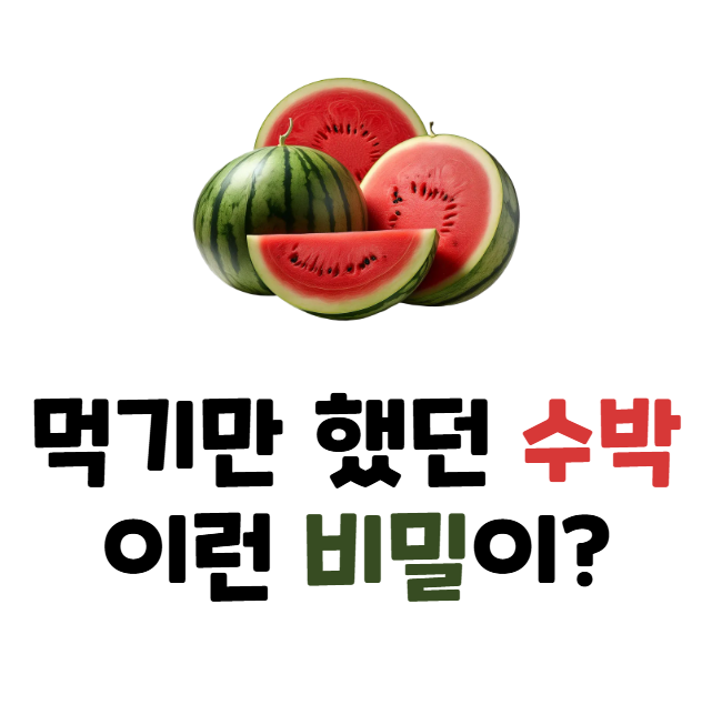 수박 비밀