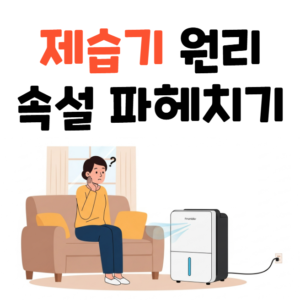 제습기 원리 종류 속설 유래 정보