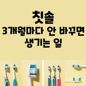 칫솔 유래 역사 교체주기 모든 것.jpg