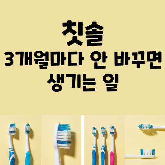 칫솔 유래 역사 교체주기 모든 것.jpg