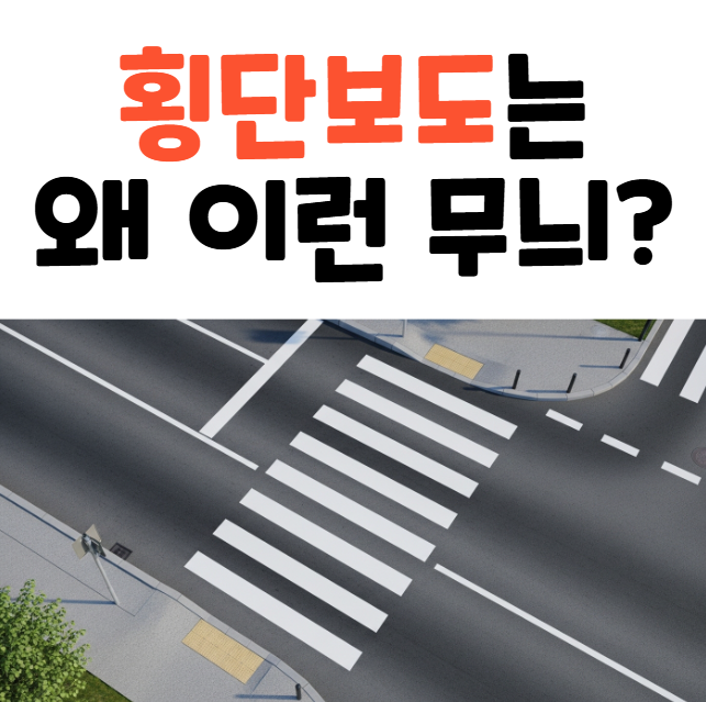 횡단보도 역사 과학 무늬