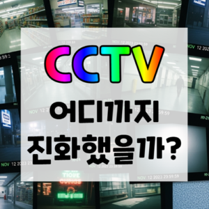 CCTV 역사 원리 논란 정리