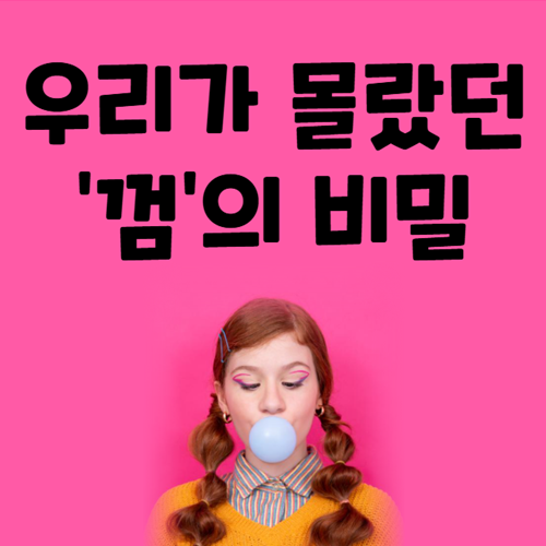 껌에 대한 모든 것 역사 종류 재미있는 사실들 TMI