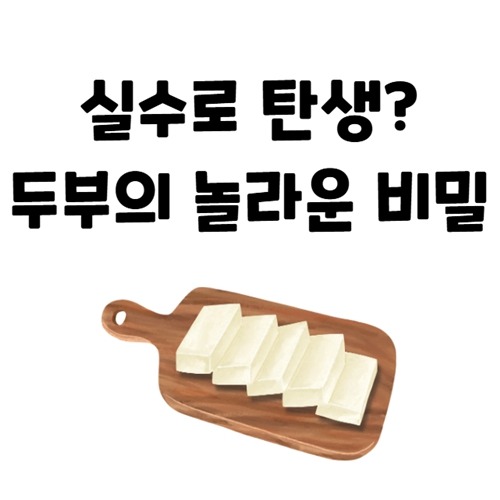 두부의 모든 것 2000년 역사를 품은 국민 식재료 탐구