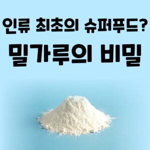 밀가루의 놀라운 역사