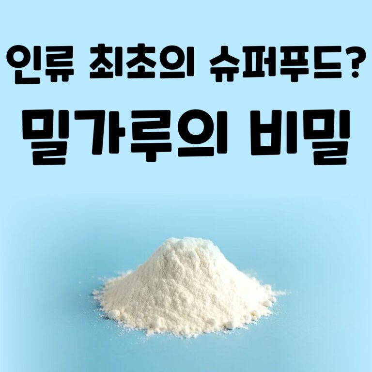 밀가루의 놀라운 역사