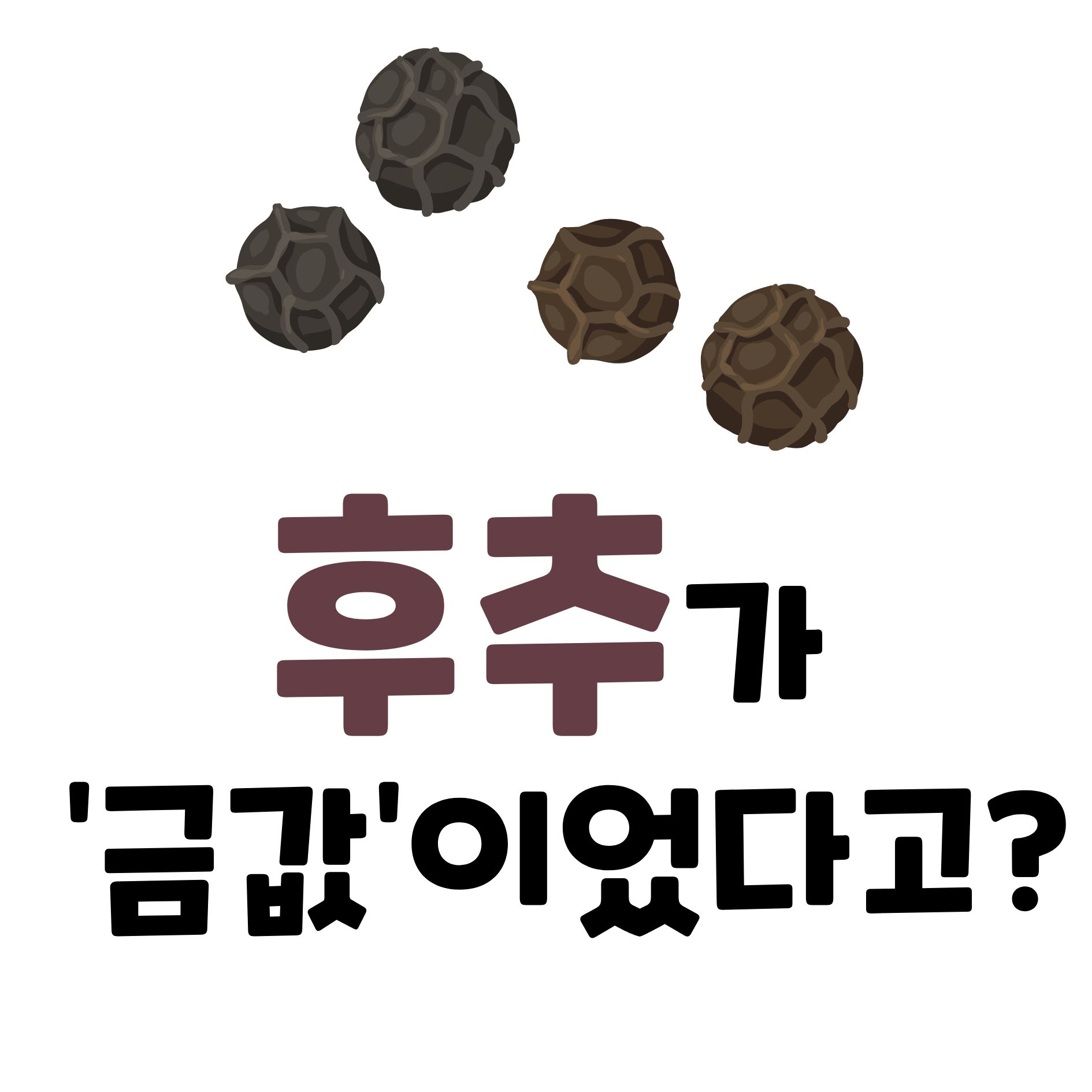 후추, 금보다 비쌌던 5가지 이유와 놀라운 비밀