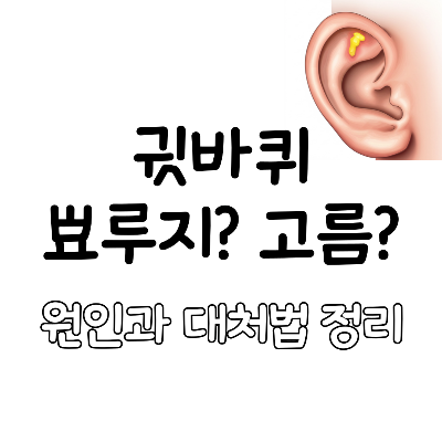 귓바퀴 고름 염증 피 여드름 뾰루지 치료 원인 예방