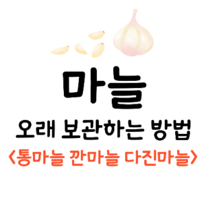 마늘 깐마늘 통마늘 다진마늘 오래 보관 저장 방법 꿀팁 팁