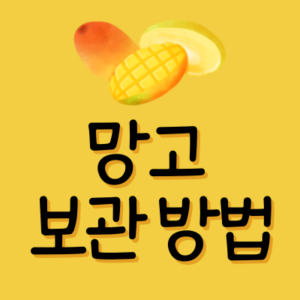 망고 보관 방법 정리 실온 후숙 냉장 냉동 유통 기한