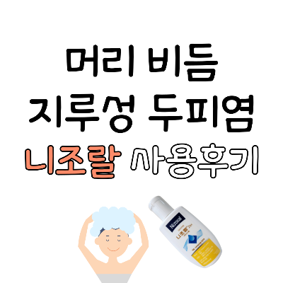 머리 비듬 지루성 두피염 두피 염증 뾰루지 트러블 니조랄 내돈내산 약용 샴푸 사용 후기
