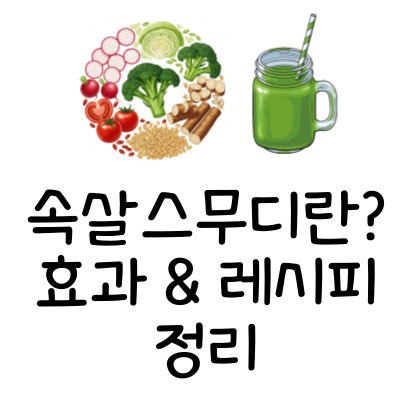 몸신의 탄생 속살스무디, 20일 만에 뱃살·소화·피부까지 잡는 비법 레시피