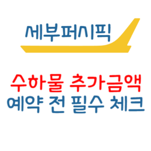 세부퍼시픽 수하물 위탁 수화물 추가금액