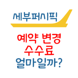 세부퍼시픽 예약 변경 수수료